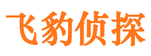 岢岚寻人公司